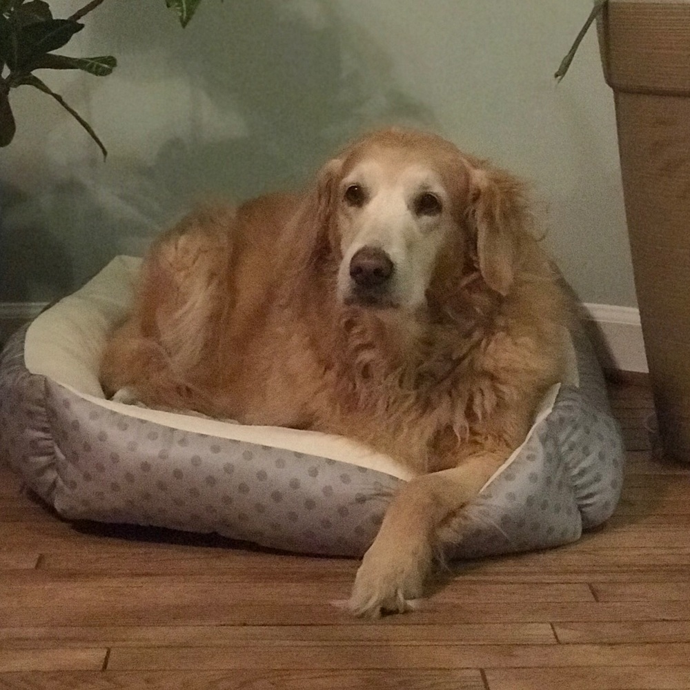 Meet your Posher, Mary